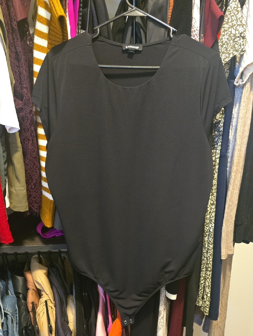 Express Black Short Sleeve Bodysuit with Scoop Neck